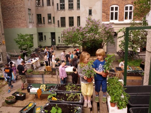 Kapillærkasseworkshop maj 2013. Nye venskaber i et urban gardening projekt.