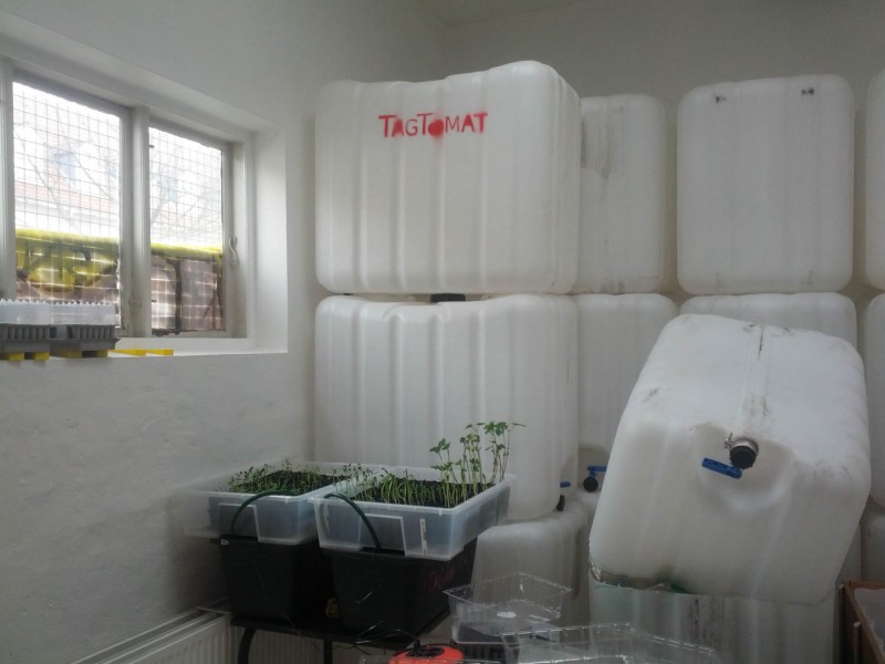 Spirercentral hos TagTomat - Urban Farming - Urban Gardening i KøbenhavnIMG_20140407_133510