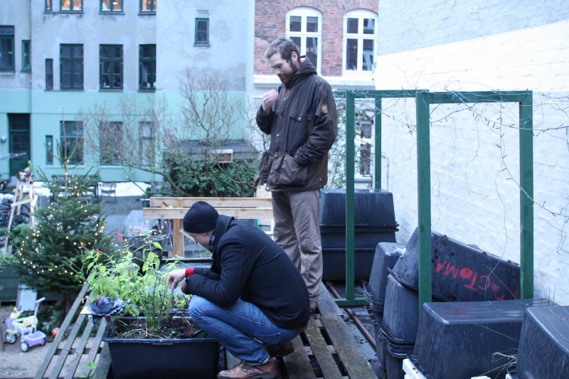 Andreas Lloyd and Jason Roberts in the Rooftop Garden