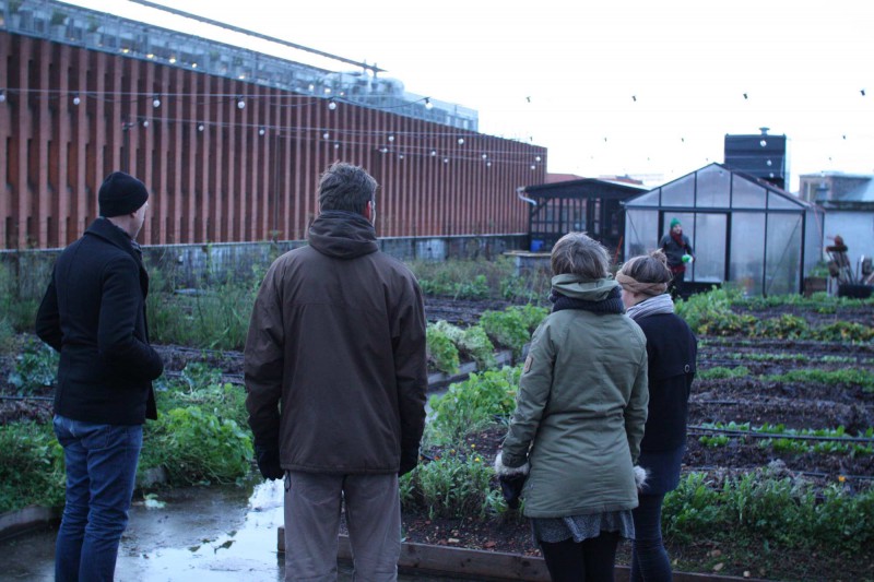 We visited the Rooftop Farm of Østergro, a cool project much related to Brooklyn Grange