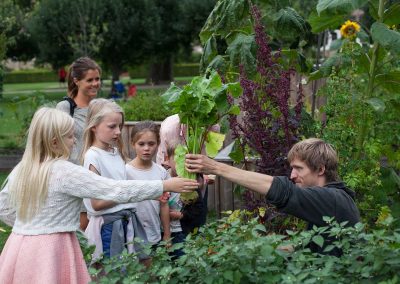 Kongens Køkkenhave: En have for alle i hjertet af København