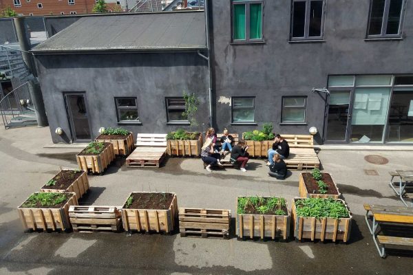 Skolehave med selvvandende plantekasser skaber grønt fællesskab og grøn læring i Rådmandsgade Skoles skolegård