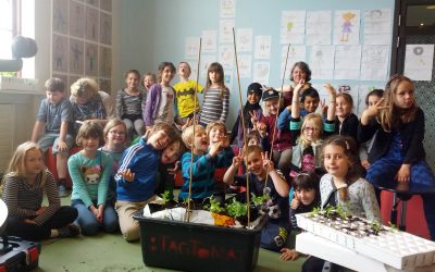 Udplantning af forspirrer på Nørrebro Park Skole