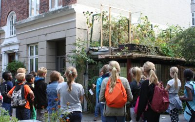 Dagbladet Information, frøhøst og skolebesøg af 5a fra Absalons skole i Roskilde
