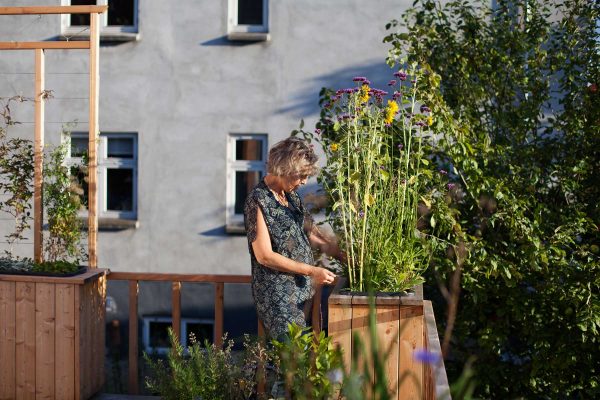 Havedesign til urbane haver