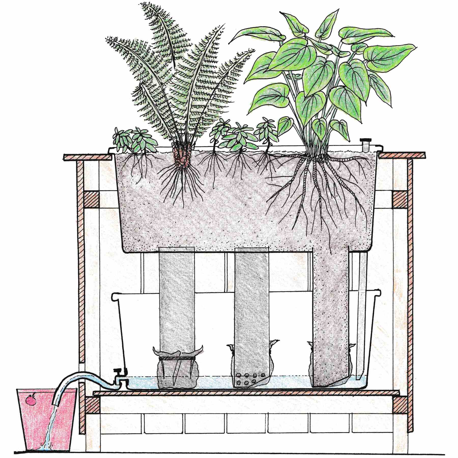 Tværsnit af selvvandende plantekasser med eksternt vandreservoir