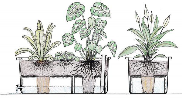 Plantekassemodul tegning tværsnit