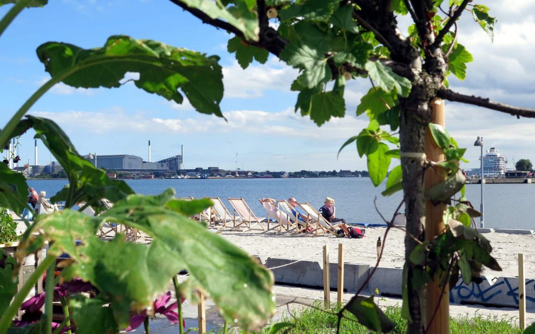 Redmolen i Nordhavnen – Blomster og fællesskab før byen bygges