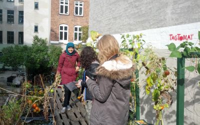 Besøg fra Nørrebro Park Skole og græskaruhygge i Jagtgården