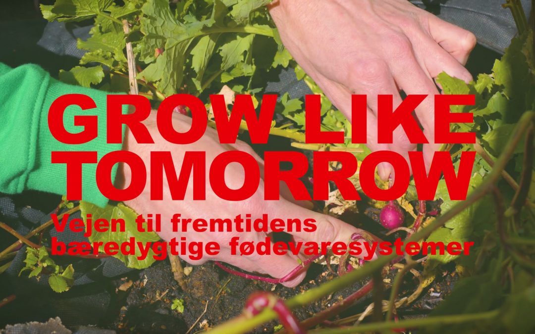 Nyhedsbrev 2020-04-07 | Grow Like Tomorrow | Crowdfunding | Læs første kapitel