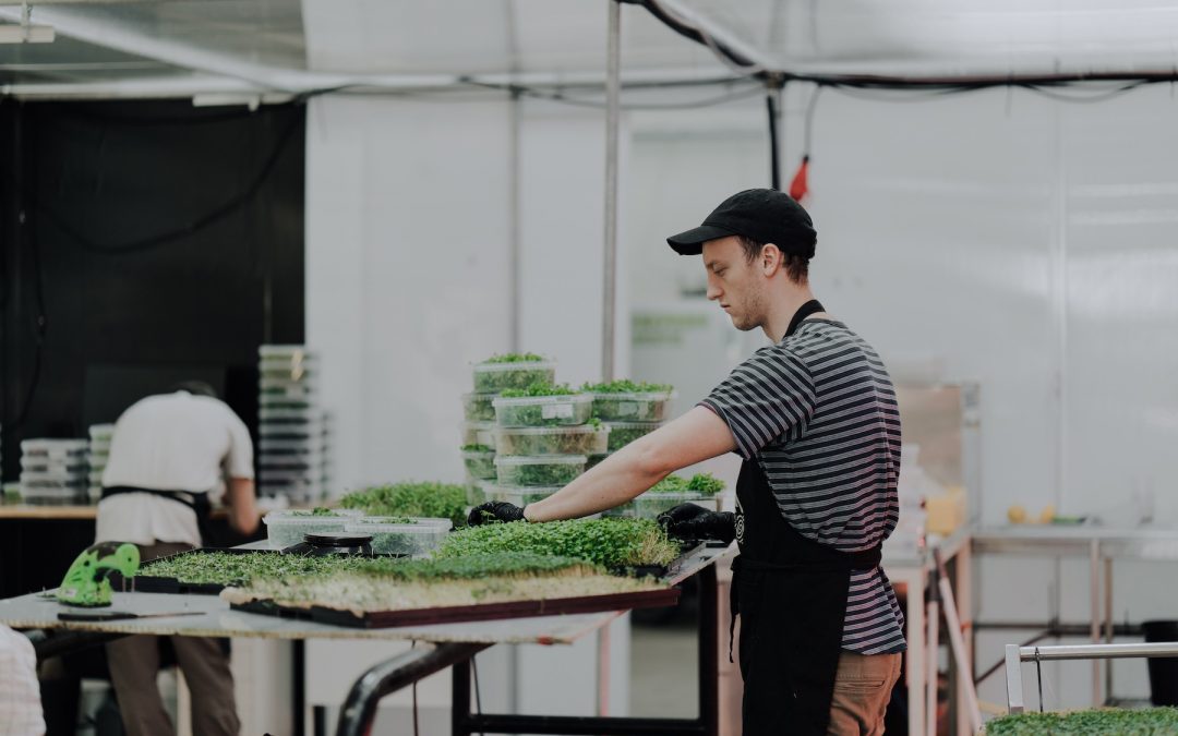 5.2 Nabo Farm – Urban farm leverer lokalt og bæredygtigt mikrogrønt