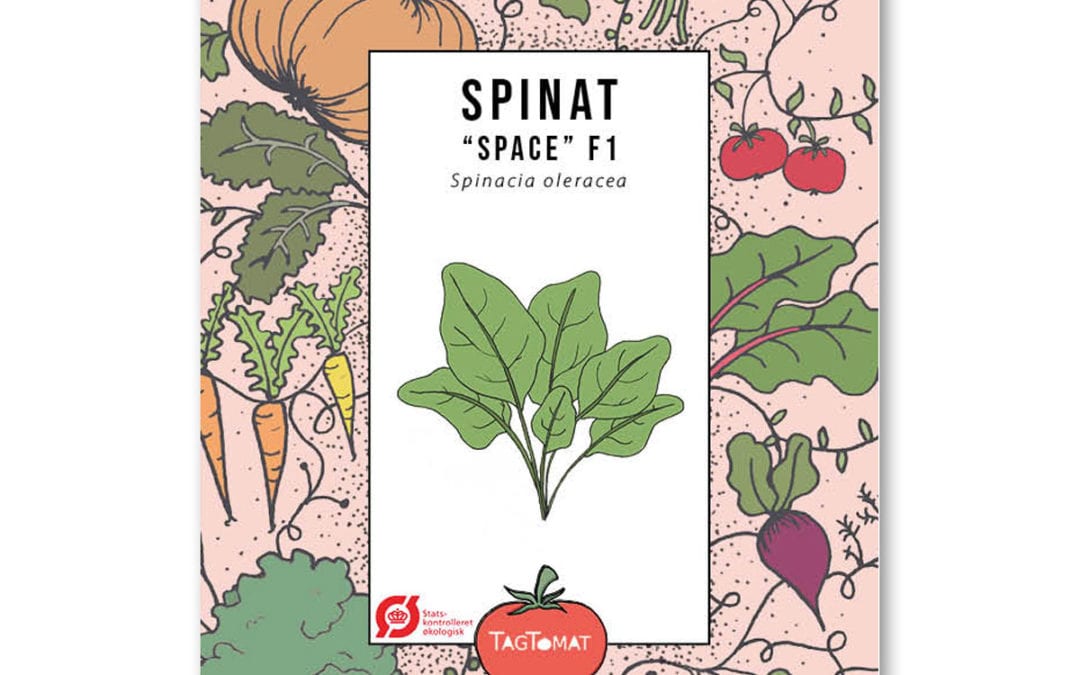 Spinat – Space F1 – Nem, hurtigvoksende og god som bunddække – Økologisk