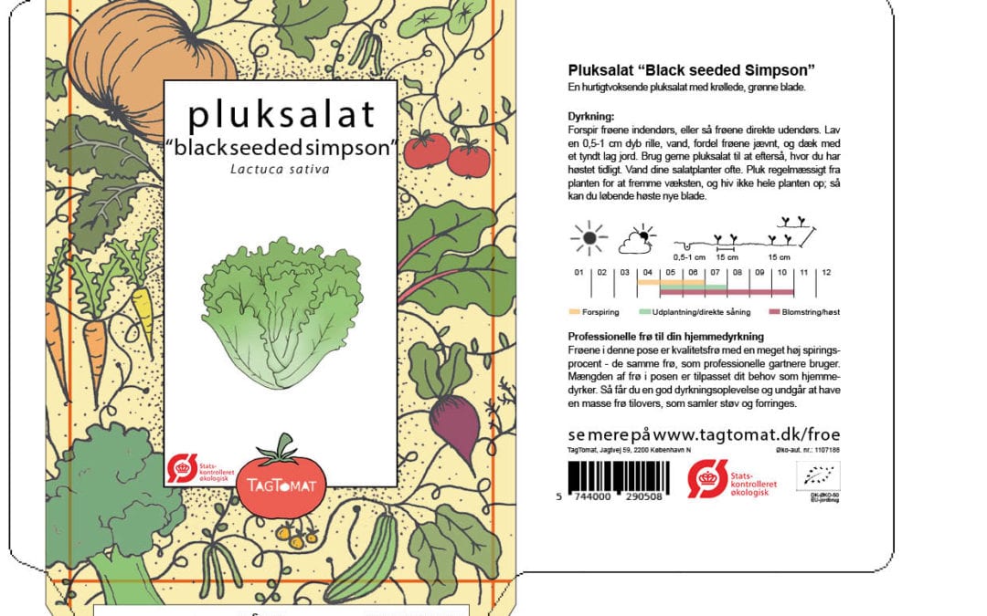 Pluksalat – Black Seeded Simpson – Lækker sprød salat der er nem at dyrke – Økologisk