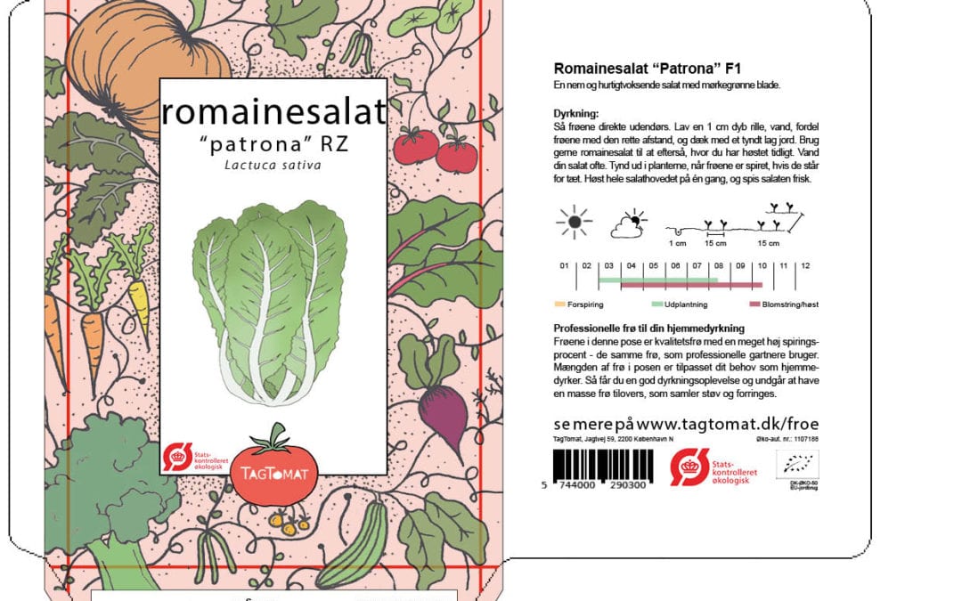 Romainesalat – Patrona RZ – Sprød lækker salat – Økologisk