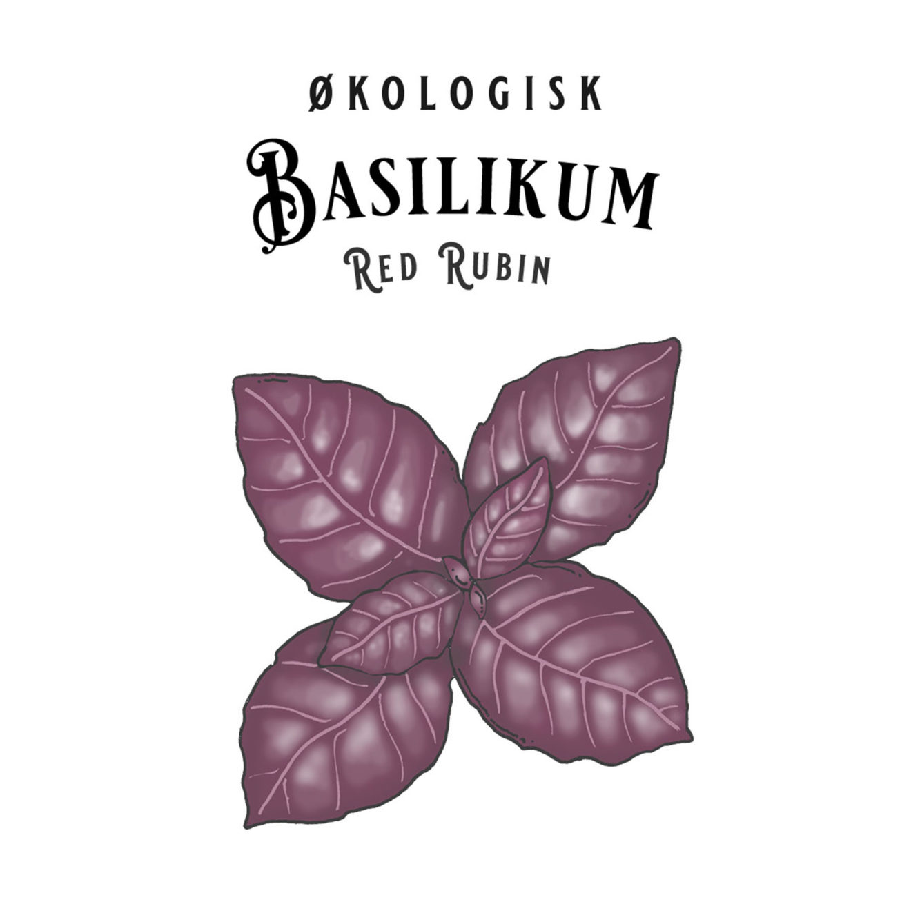 Rød Basilikum - Red Rubin - Økologiske frø