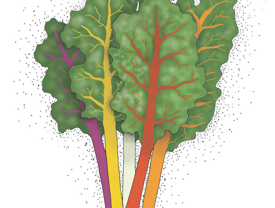 Farvede Bladbeder – Tre Colori – Farverige og glansfulde bladbeder i hvide, orange og røde nuancer – Økologisk