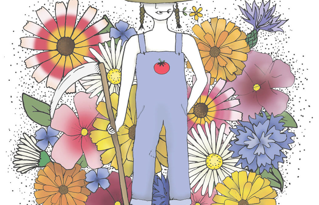 Bybondens Blomsterblanding – 18 farverige sommerblomster med lang blomstringstid