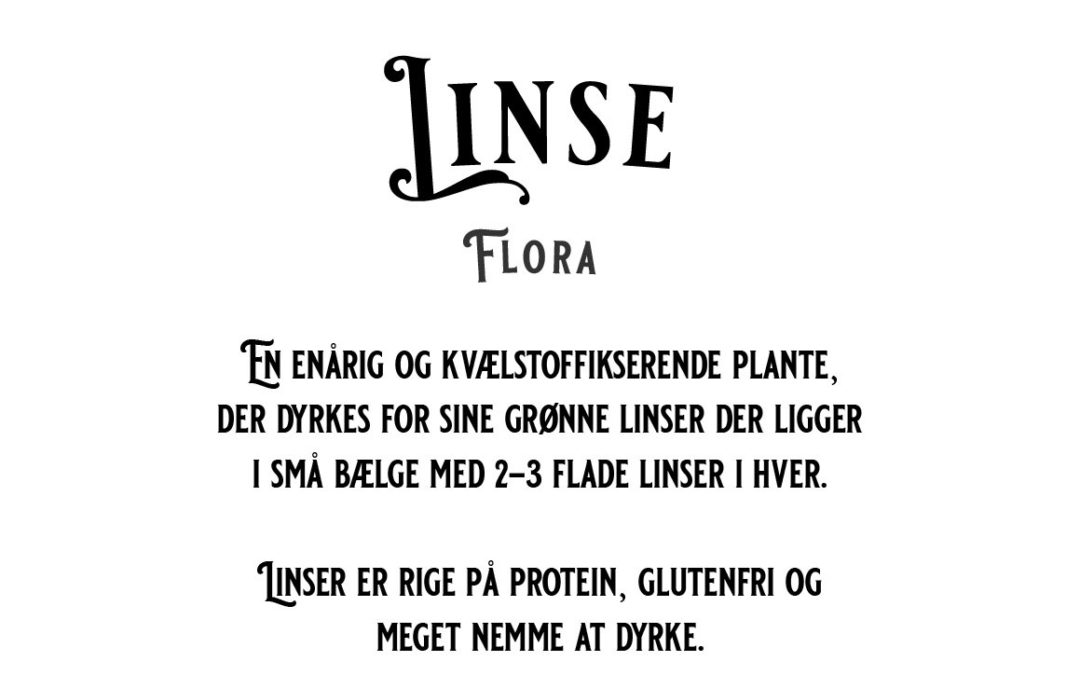 Linser – Flora – En tidlig sort der giver grønne små linser – Økologisk og Danskproduceret