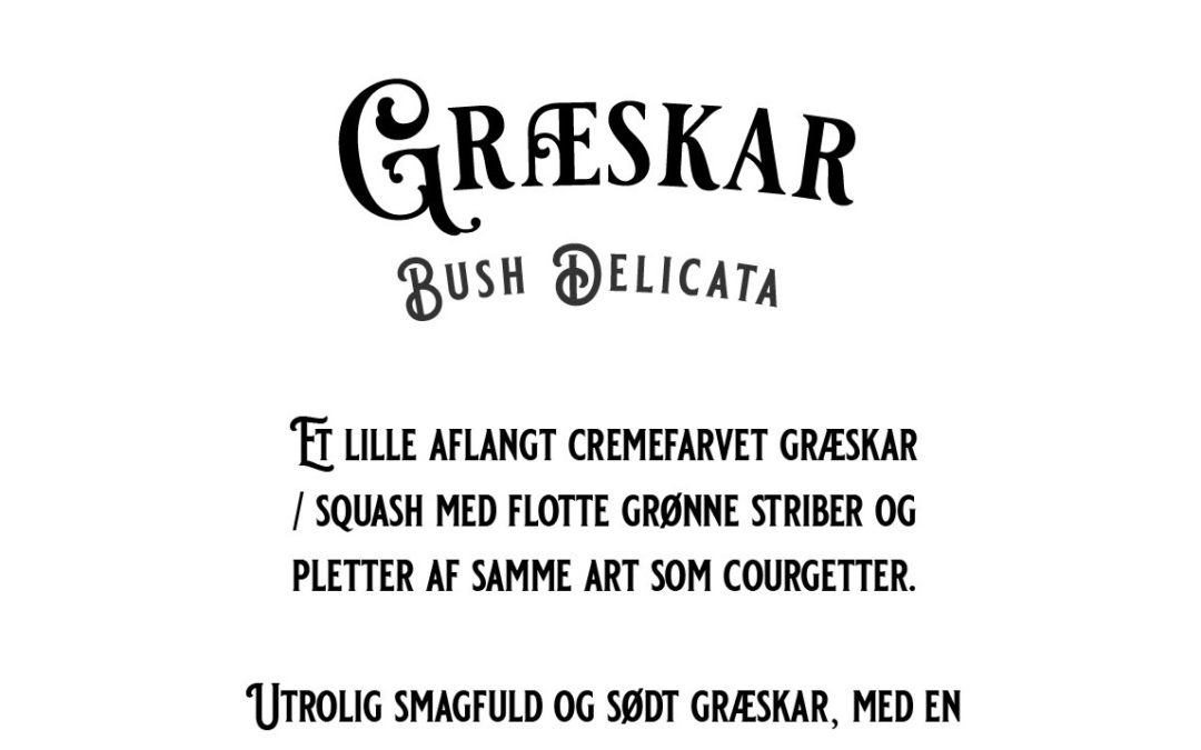 Græskar – Bush Delicata – Et lille aflangt cremefarvet græskar/squash med flotte grønne striber – Økologisk