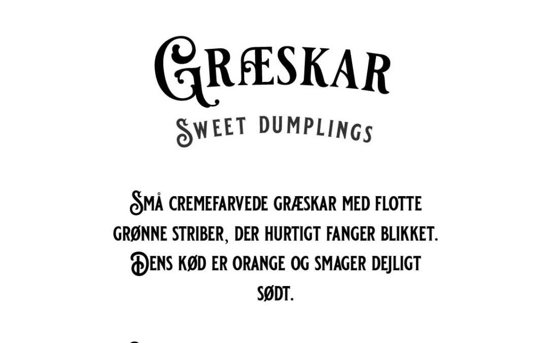 Græskar – Sweet Dumpling – Små cremefarvede græskar med flotte grønne striber – Økologisk