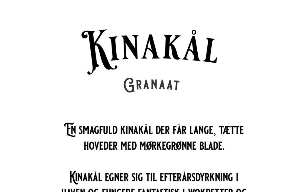Kinakål – Granaat – En lækker kinakål med lang tætte blade – Økologisk