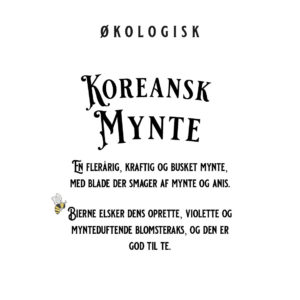 Koreansk mynte