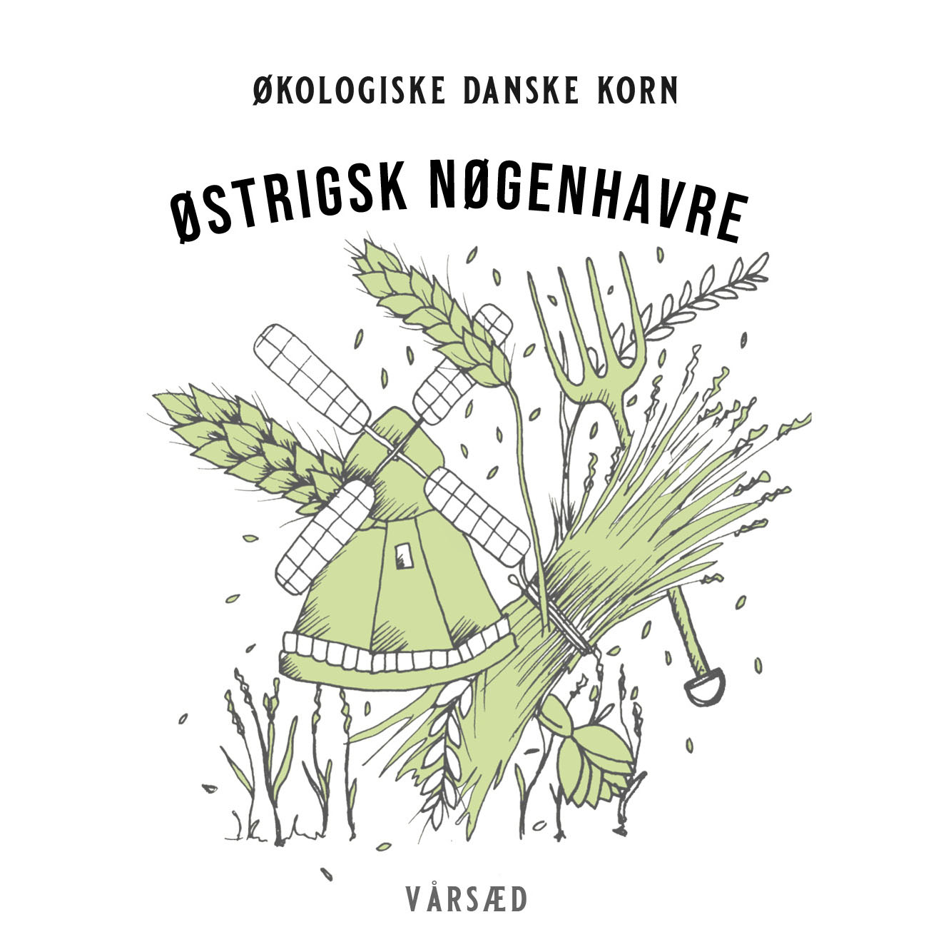 Østrigsk Nøgenhavre - Økologisk Dansk Korn