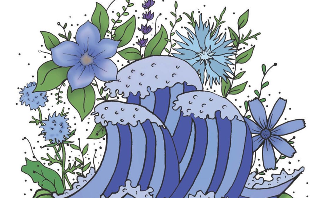 Det Blå Blomsterhav – Blomsterblanding med blå blomster